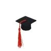 10PCS Mini Felt Tassel Bachelors Hat Wine Bottle Bouquet Decoration Party Event Decoration School Graduation Mini Bachelor's Hat
