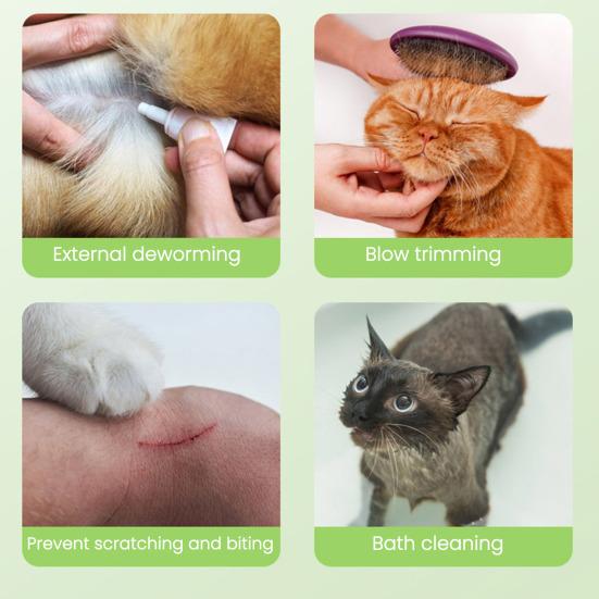 Dog Cone Collar Breathable Post-surgery Collar Pet Friendly Cone Prevents Licking And Biting for Dogs Cats After Surgery No Inflation Needed