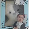 Xd's Nyandu Doll Photocard Set Unopened