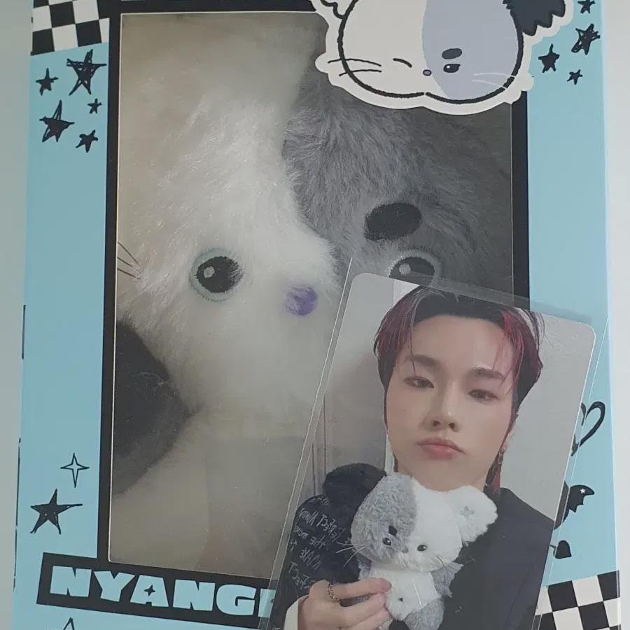 Xd's Nyandu Doll Photocard Set Unopened