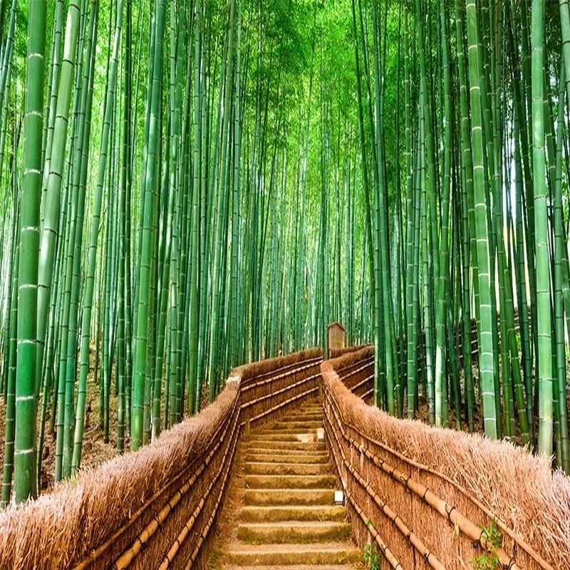 3d Wallpaper Green Bamboo Path Nature Scenery Wall Murals Living Room Restaurant Backdrop Fresco Home Decor