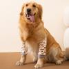 Orthèse de coude réglable pour chien Genouillère pour animal de compagnie Protecteur pour patte avant Manchon de récupération pour animal de compagnie Support pour coude/épaule canine
