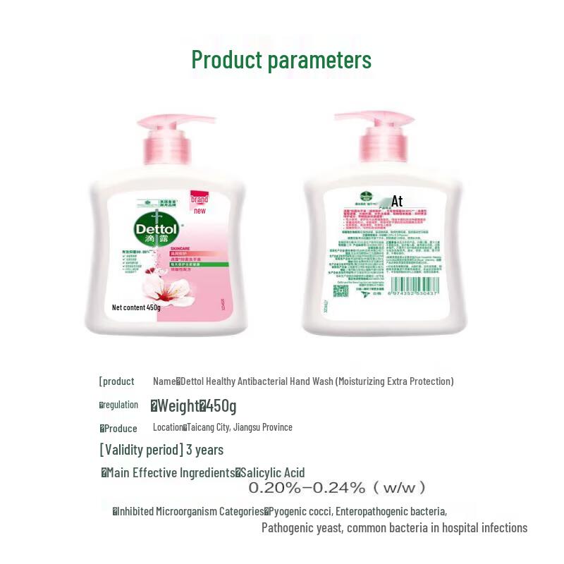 Dettol Healthy Moisturizing Antibacterial Hand Wash (2-Pack)