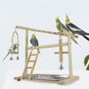 Bird Perch Stand Wooden Swings Ladders Toys With Removable Stainless Tray And Cup Parakeet Playground For Standing Chewing
