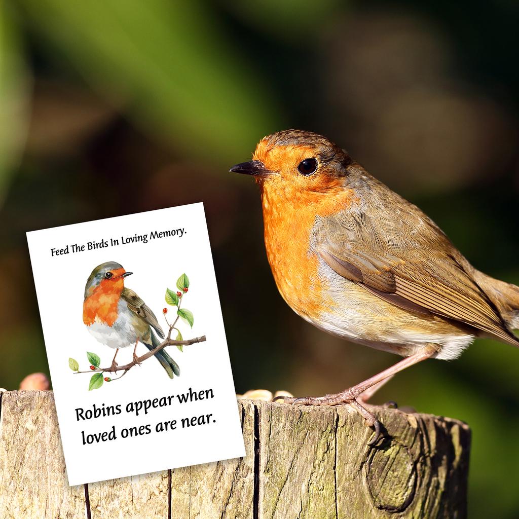 100 Pcs Funeral Seed Packets Lilly Robin Gifts Seeds Packets Memorial Funerals Favours For Guests Feed The Bird Envelopes Celebr