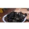 Sušená černá houba 100g 500g Bio Auricularia Auricula Čínská dřevnatá houba