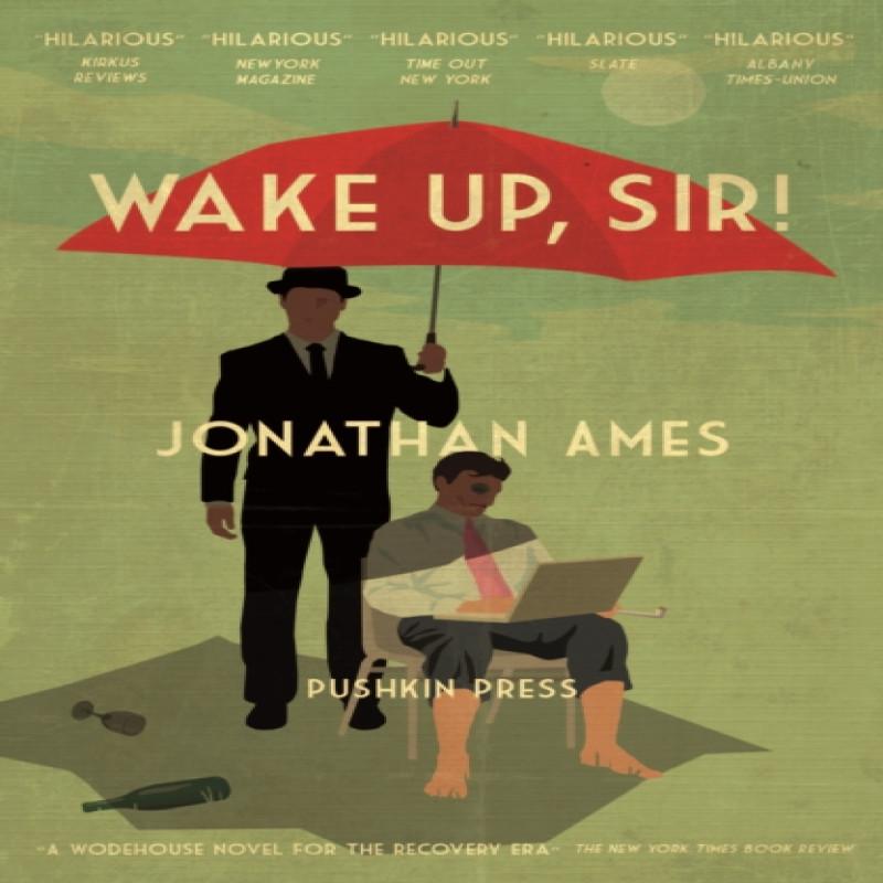 Wake Up Sir by Jonathan Ames Paperback Book 9781782271215