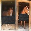 High Quality Fabric Horse Stall Guard With Reliable Fasteners For Controlled Movement And Air Flow 68cm Width