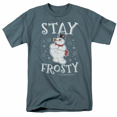 26 Frosty de Sneeuwman Stay Frosty T-shirt Heren Gelicentieerde Cartoon Merchandise Leisteen Unisex T-shirt
