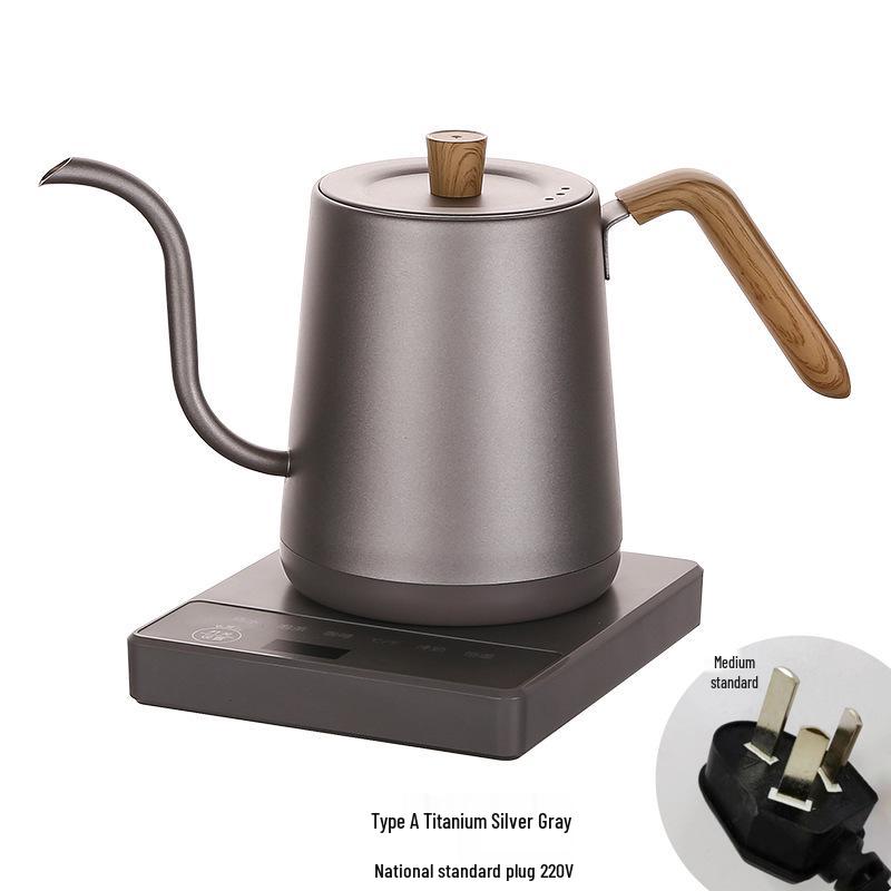 Stainless Steel Electric Gooseneck Kettle with Temperature Control