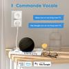 16a Fr Smart Plug Wifi Smart Steckdose (Typ E) Für Alexa Google Home Smartthings