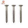 Electric Guitar Tremolo Bridge Screws - Silver, 3x25mm (Pack of 10)