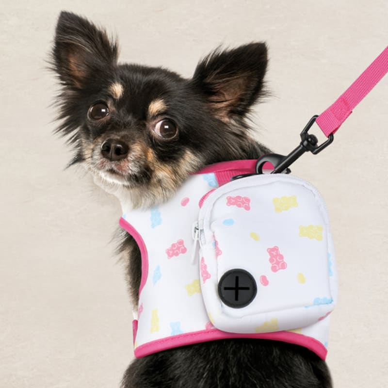 [Husdjur] Ryggsäck Sele Set S