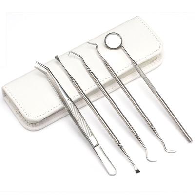 5Pcs1set Stainless Steel Dentist Tools Dental Professional Removal of Dental Calculus