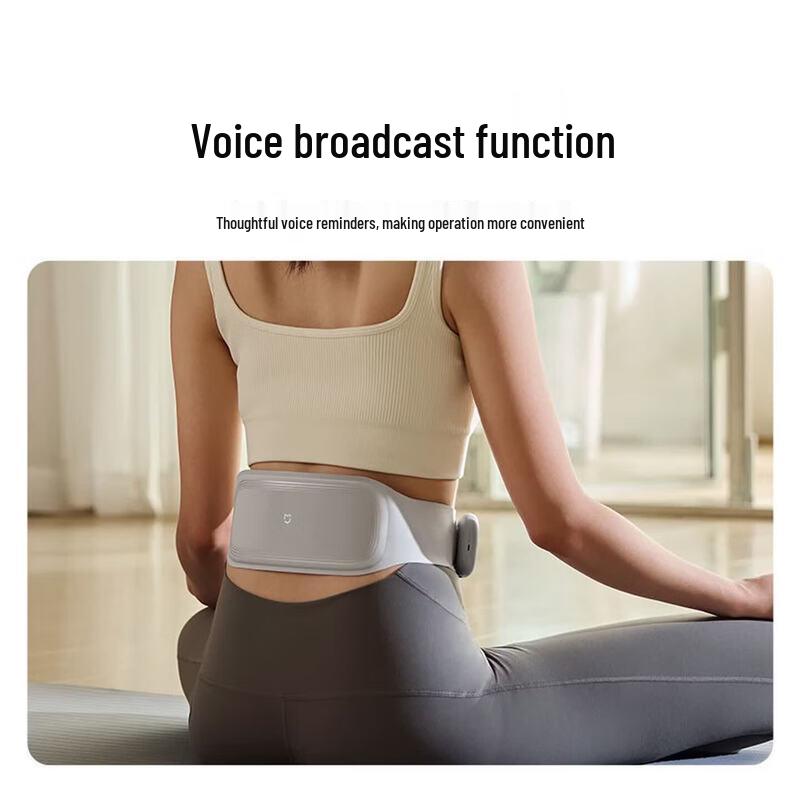 Xiaomi Smart Dual-Frequency Waist Massager with EMS CN plug (adapter included)