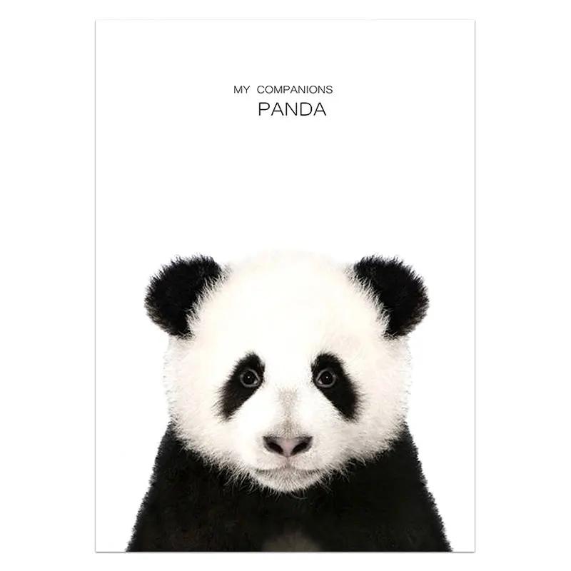 

Плакаты и принты с животными, кролик, жираф, свинья, панда, лев, холст, картина, детская настенная живопись, скандинавская картина, украшение для детской комнаты 21cm×30cm NoFrame