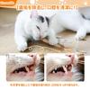 Luxury Gift ULcomlife Natural Matatabi Cat 12 Pieces Matatabi Feather Hemp Rope No No Healthy Chew Teeth Obesity Relief [Matatabi Set] Toys, Tree,