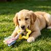 Dog Rope Toy Rubber Ring Dog Chew Toy with Braided Cloth Strips Dog Tug of War Rope Toy for Fetch Toss-and-Catch