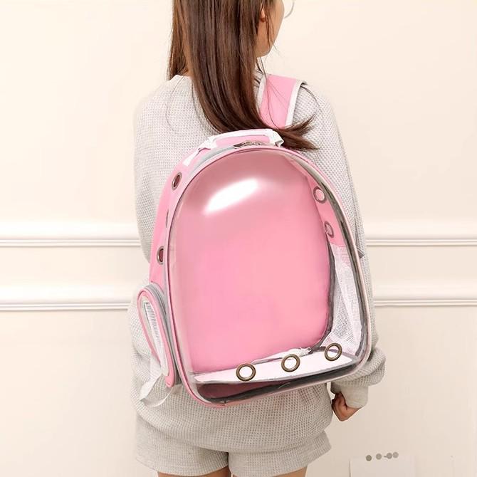 Transparent Space Capsule Pet Backpack for Cats & Small Dogs
