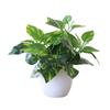 Lifelike Artificial Foliage Plant Add a Breath of Fresh Air To Your Space