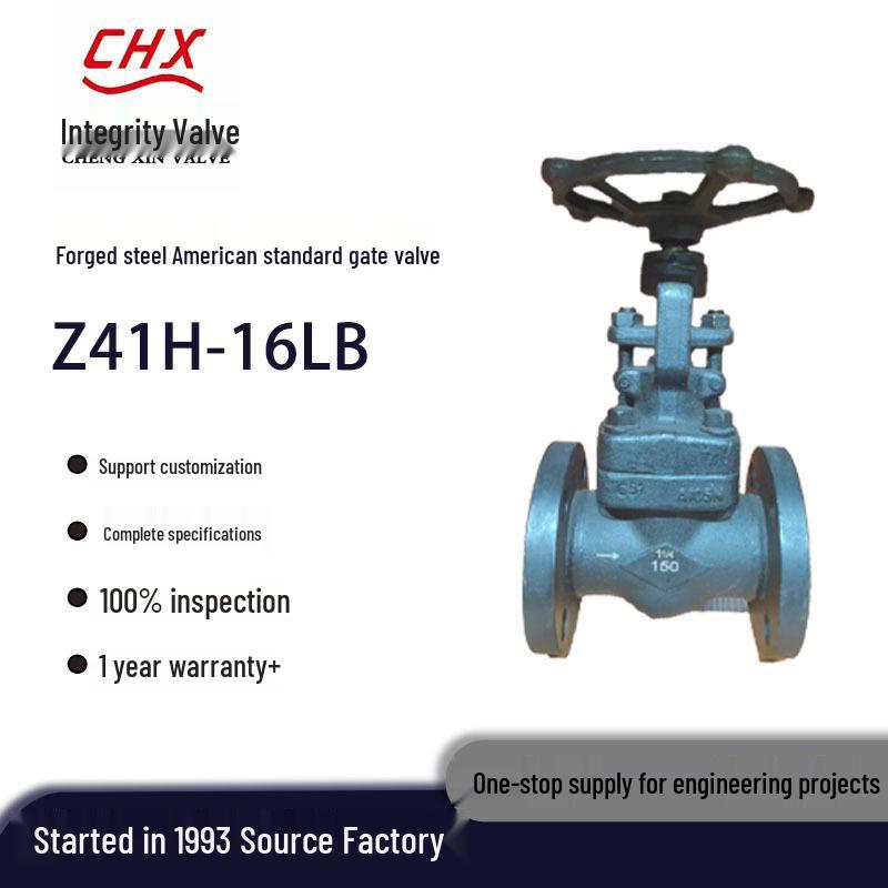 

Z41H-150LB Forged Steel Stainless Steel 304 Hard Seal Rising Stem Flanged Gate Valve. DN15