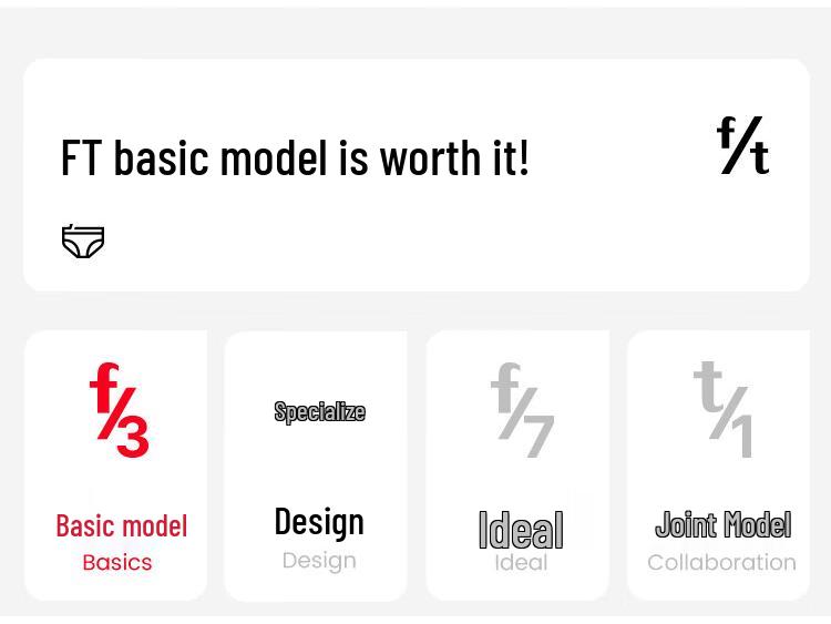 FitonTon Women's Alluring Lace Mesh Briefs 2-Pack