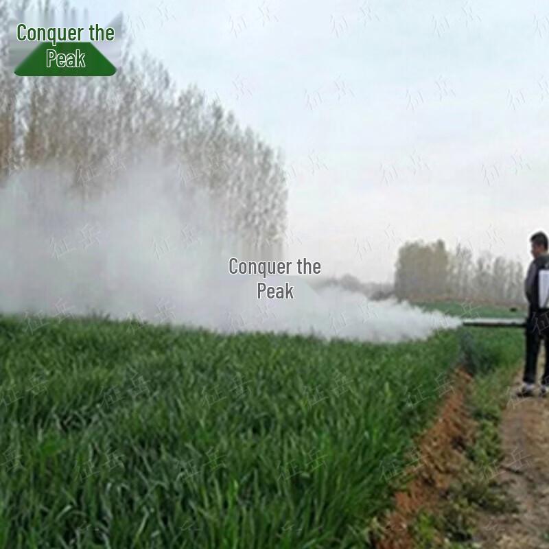 Zhengyue Disinfection Pulse Fogger