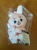 DAY6 Plush Toy Original Paint Denimals Magnet Flash Set Naandoll