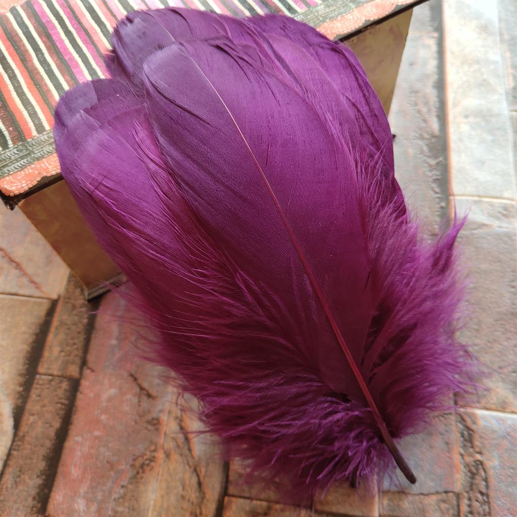 20pcs Natural Goose Feathers 31 Color Loose Goose Feathers 12-20cm Long Christmas Decoration Clothing Shoes Hat Accessories