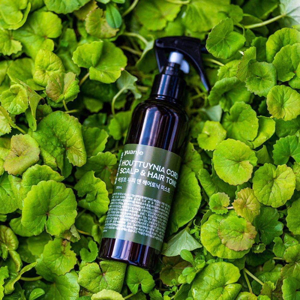 Yuanje Houttuynia cordata beruhigende Kopfhautpflege Toner Spray Ampulle Werbegeschenk