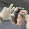 Winter Imitation Mink Velvet Five Finger Gloves Warm Cold-Proof Gloves Women Outdoors Cycling Solid Color Mittens