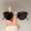 Vintage Cat Eye Decor Sunglasses Women New Stylish Gradient Shades Trendy Luxury Brand Retro Design Fashion Sun Glasses