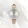 Fieldwork Women's Analog Watch with Leather Strap, Nickel-Free, Simple Design, NF Shiny White Gray, ST299-5