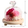Teatsite Preserved Flower Arrangement, Pre-Wrapped, Heart-Shaped Glass Pot, 3 Flowers (Pink Carnations, Bear Towel Included)