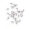 10 PIÈCES Nymphe Standard Midge pour la Pêche à la Mouche, Motif Truite pour Toute l'Année, Hameçon Doré sans Ardillon #16, Leurres d'Eau Douce pour la Pêche à la Mouche