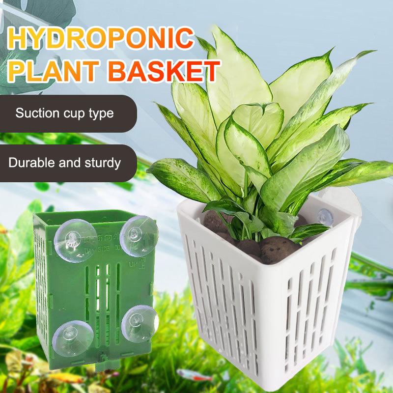 Hengende sugekoppkrok Akvariumplanteholder Plast Akvarieplantekar Plantekar Kurver Aquatic Pot Box Aquascape Dekorasjon