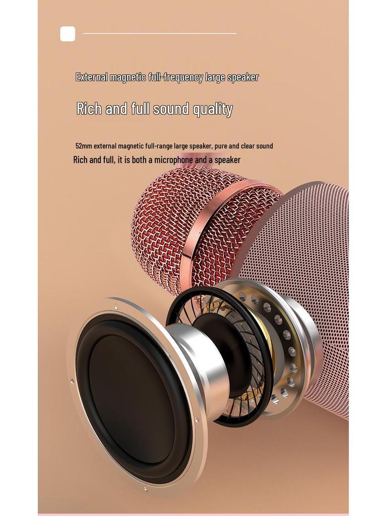 Wireless Home Karaoke Microphone for Kids with Built-in Speaker