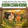 Metal Chain & Hooks Chicken Perch Stand Handmade Wood Chicken Swing Toy  Cage Interior