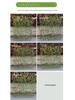Retractable Grille with Faux Greenery for Balcony or Garden Decoration