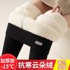 Women Thick Fleece Lined High Waist Warm Thermal Outer Wear Leggings Pants