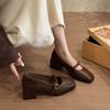 Retro square head high heels light mouth single shoes women's spring and autumn new loafers French thick heel Mary Jane small leather shoes women