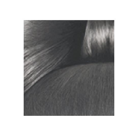 

Moremo Keratin Less Damage Hair Color Ash Gray (Dye)