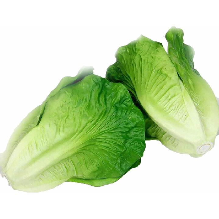 Artificial Vegetable Faux Lettuce Fake Fruit House Decor Kitchen Party Garlands