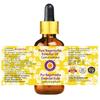 Aceite Esencial de Nagarmotha Deve Herbes (Ciperus scariosus) con Gotero de Vidrio Puro | No Pegajoso | No Graso | Ligero | Hombres y Mujeres | Todas las Pieles