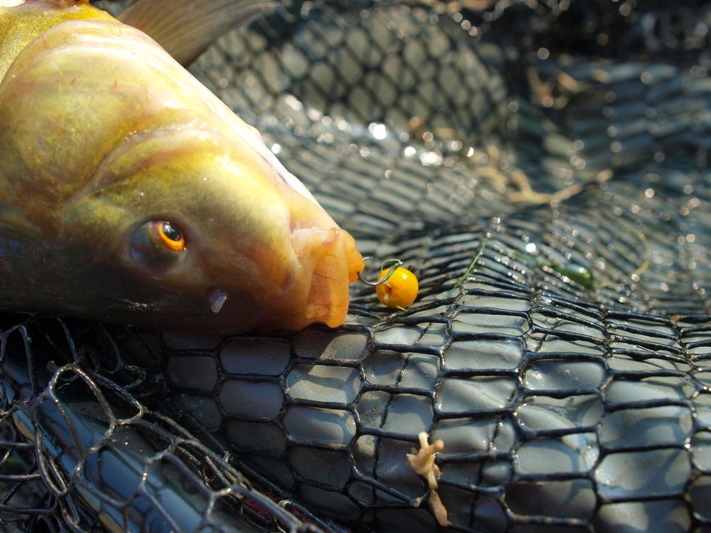 Method/Feeder Fluo Pop-Up Micro Boilies 8mm/20g Smoked Salmon