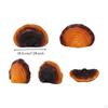 Ganoderma Ornament Layered Resin Mushrooms Ringed Hanging Decor for Planted