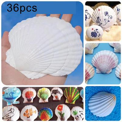 Creative DIY Projects DIY Craft Shells Natural Scallop Shells