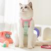 Summer Dog Contrast Cute Puppy Pocket Colored Striped Traction Suspender Cat Two-legged Pet Teddy Clothes