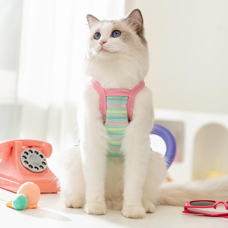 Summer Dog Contrast Cute Puppy Pocket Colored Striped Traction Suspender Cat Two-legged Pet Teddy Clothes