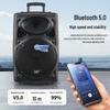 SAST 18-inch Portable Bluetooth Trolley Speaker with Microphone CN Plug (adapter Included) (CN Version)